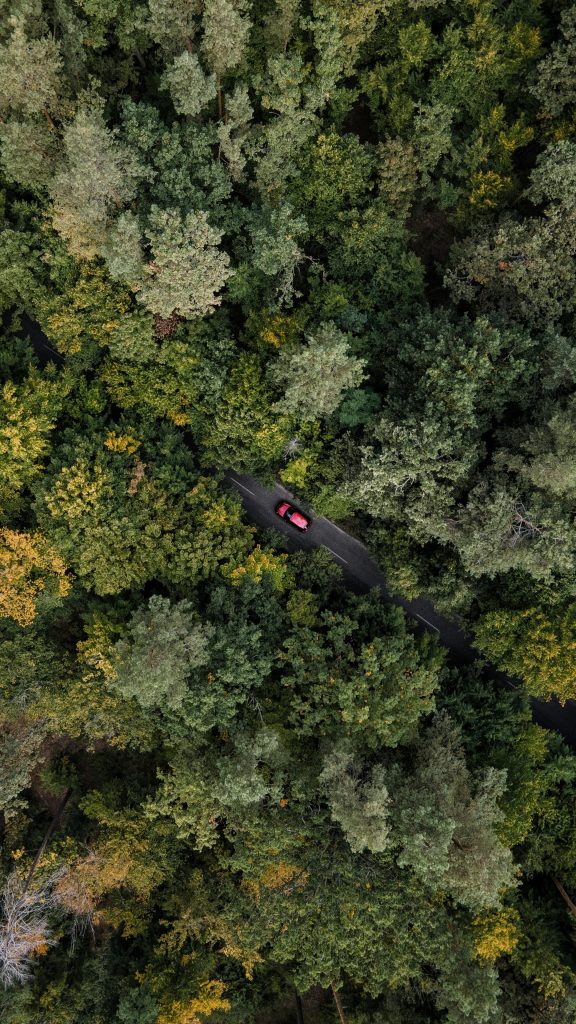 green car finance